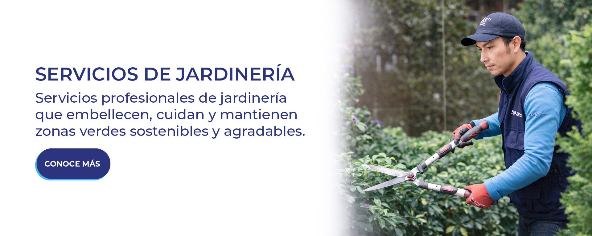 servicios-de-aseo-empresarial-mas-sa-banner-oficina-servicios-de-jardineria